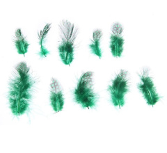 --Набор перьев для декора 10 шт, размер 1 шт 5*2 цвет зеленый с черным 0,1 см × 15 см × 15 см