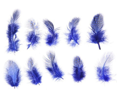 (Акция) Набор перьев для декора 10 шт, размер 1 шт 5*2 цвет синий с черным 0,2 см × 9 см × 14,5 см